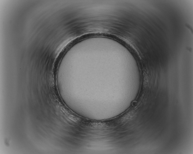 X0000101650927200807241352