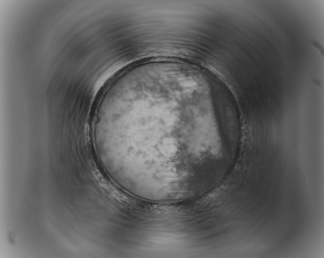 X0000101650928200807241352