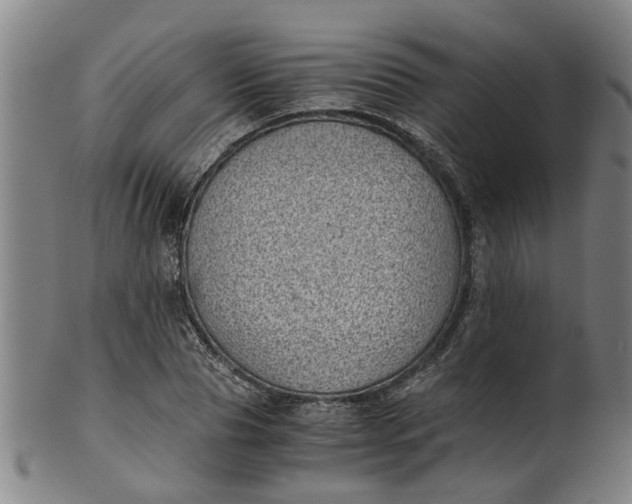 X0000101650929200807241352