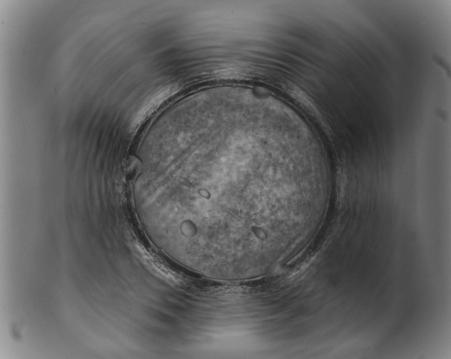 X0000101650930200807241352