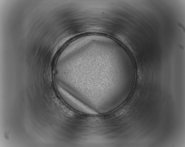 X0000101650931200807241352