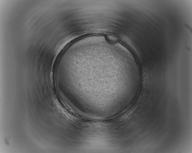 X0000101650932200807241352