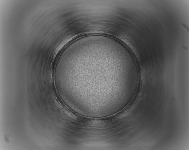 X0000101650933200807241352