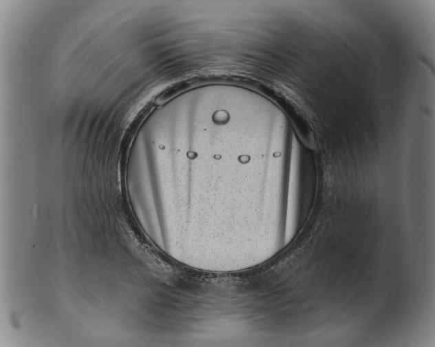 X0000101650934200807241352