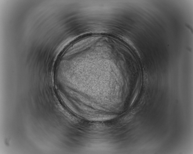 X0000101650935200807241352