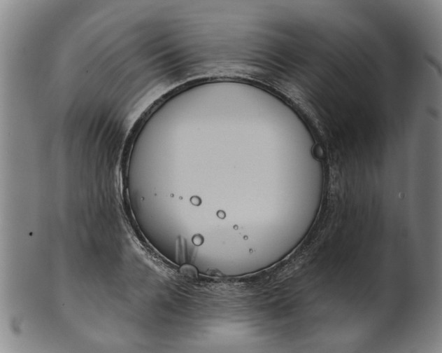 X0000101650936200807241352