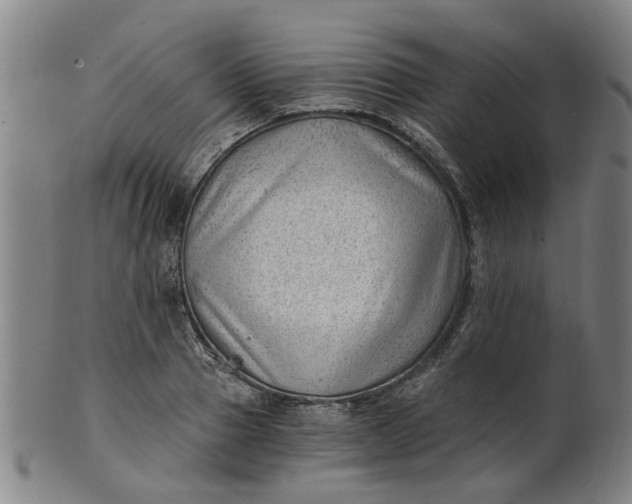 X0000101650937200807241352