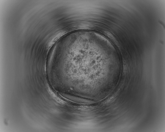 X0000101650938200807241352