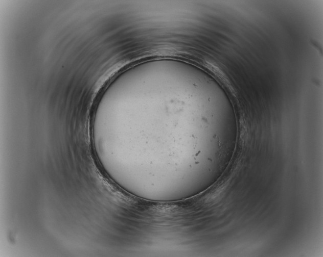 X0000101650939200807241352