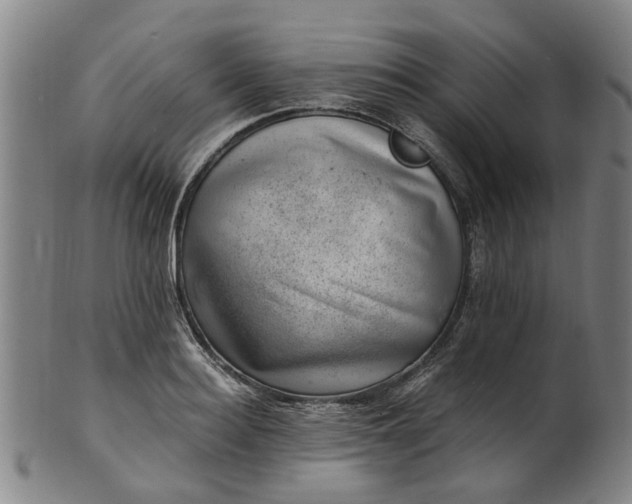 X0000101650940200807241352