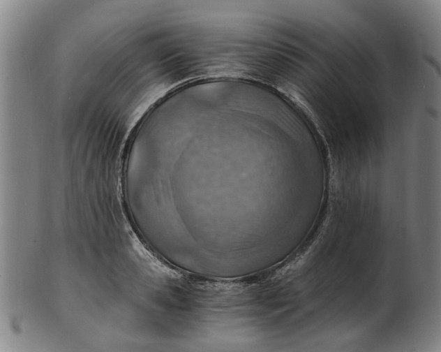 X0000101650941200807241352