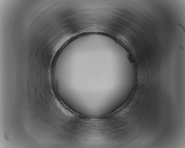 X0000101650942200807241352