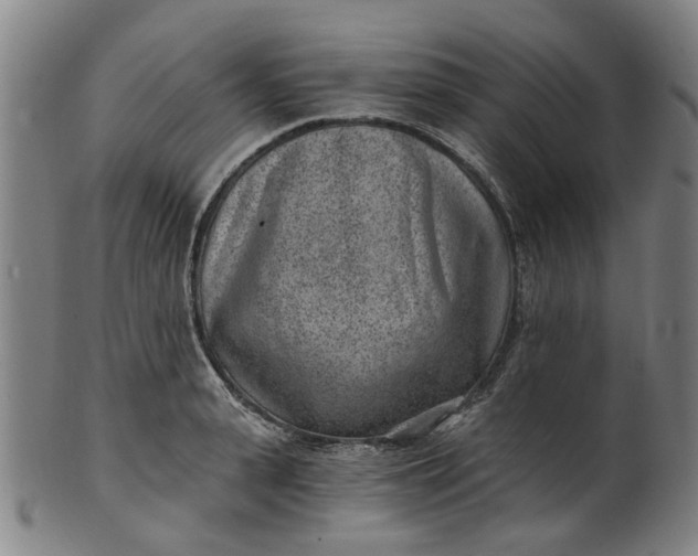 X0000101650943200807241352