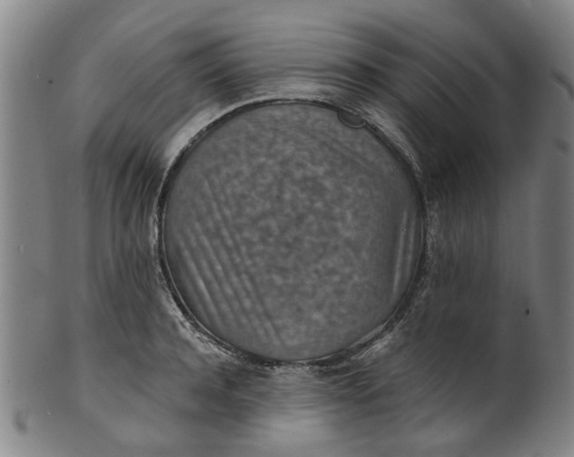 X0000101650944200807241352