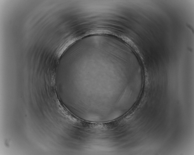 X0000101650945200807241352