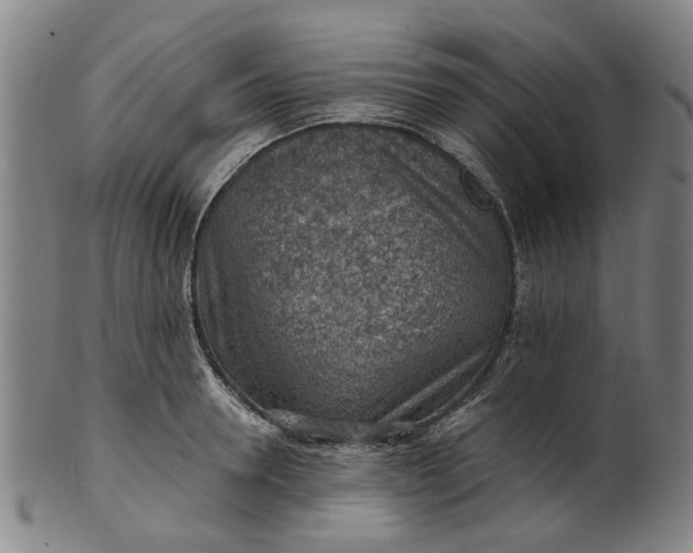 X0000101650946200807241352