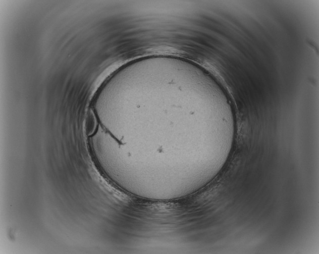 X0000101650947200807241352