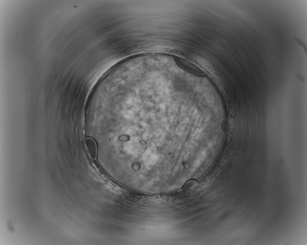 X0000101650948200807241352