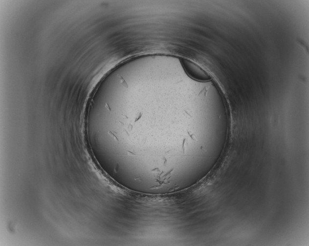 X0000101650949200807241352