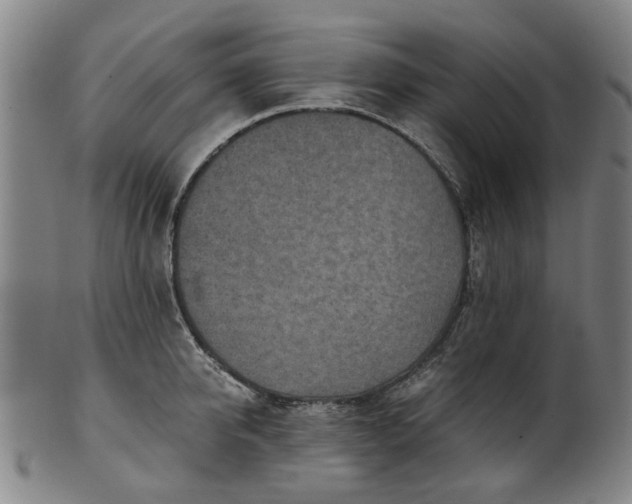 X0000101650950200807241352