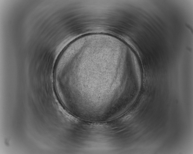 X0000101650951200807241352