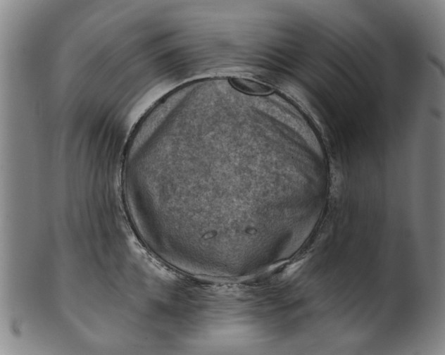 X0000101650952200807241352