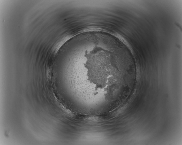 X0000101650953200807241352