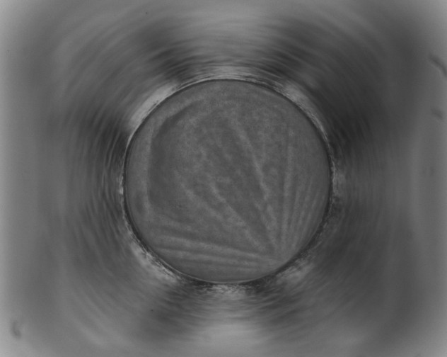 X0000101650954200807241352