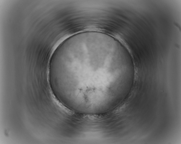 X0000101650955200807241352