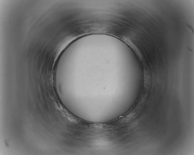 X0000101650956200807241352