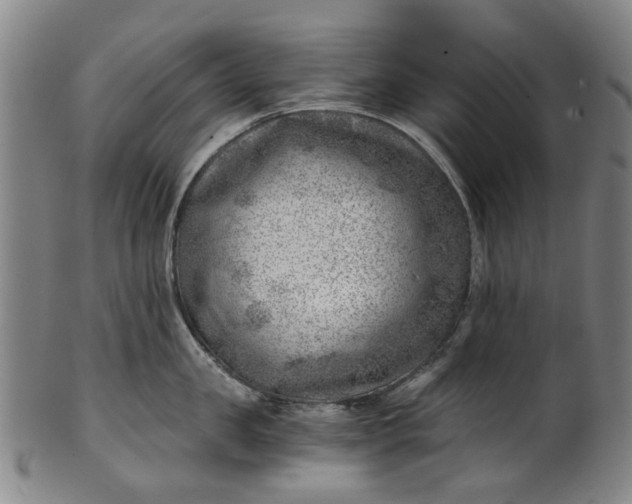 X0000101650957200807241352