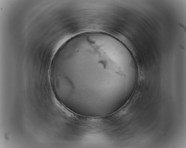 X0000101650958200807241352