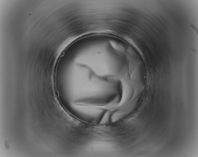 X0000101650959200807241352