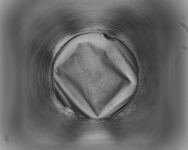 X0000101650960200807241352