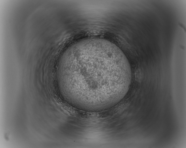 X0000101650961200807241351