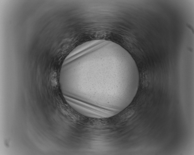 X0000101650962200807241351