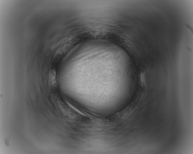 X0000101650963200807241351