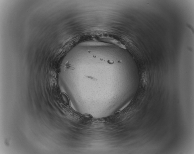 X0000101650964200807241351