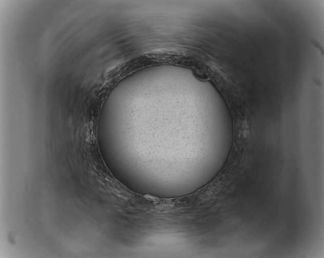 X0000101650965200807241351