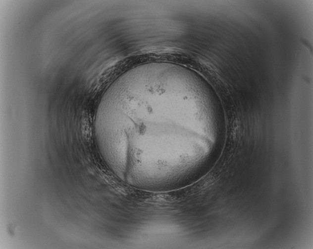 X0000101650966200807241351