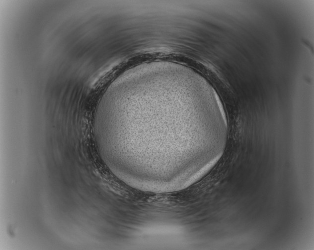 X0000101650967200807241351