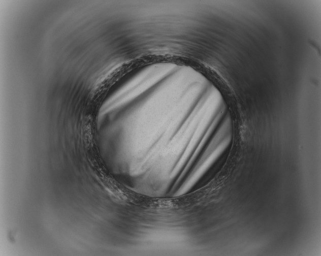 X0000101650968200807241351