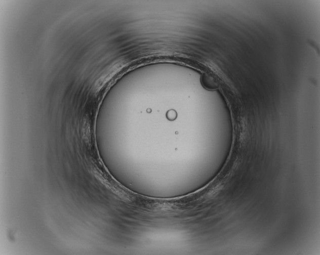 X0000101650969200807241351