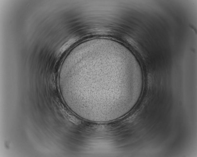 X0000101650970200807241351