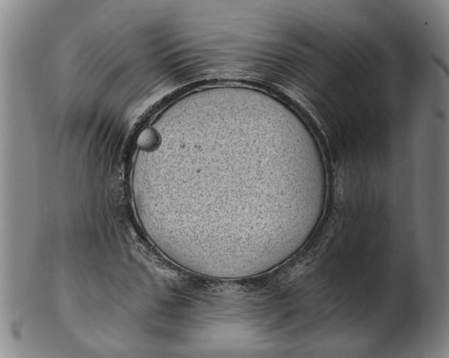 X0000101650971200807241351