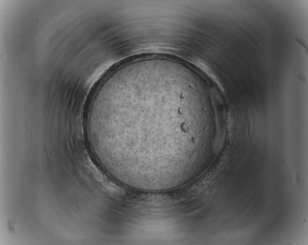 X0000101650972200807241351