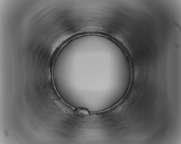 X0000101650973200807241351