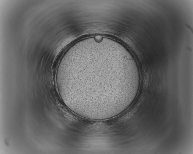 X0000101650974200807241351