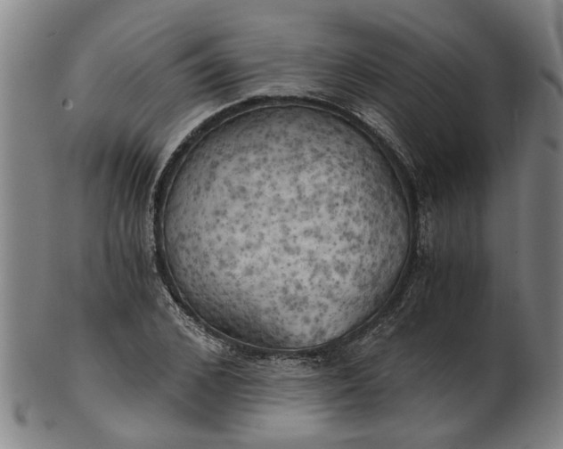 X0000101650976200807241351