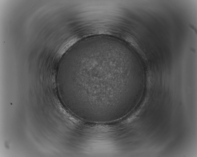 X0000101650977200807241351